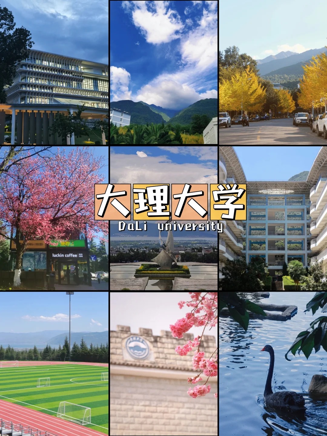 9 SUẤT HỌC BỔNG ĐẠI HỌC ĐẠI LÝ 2024