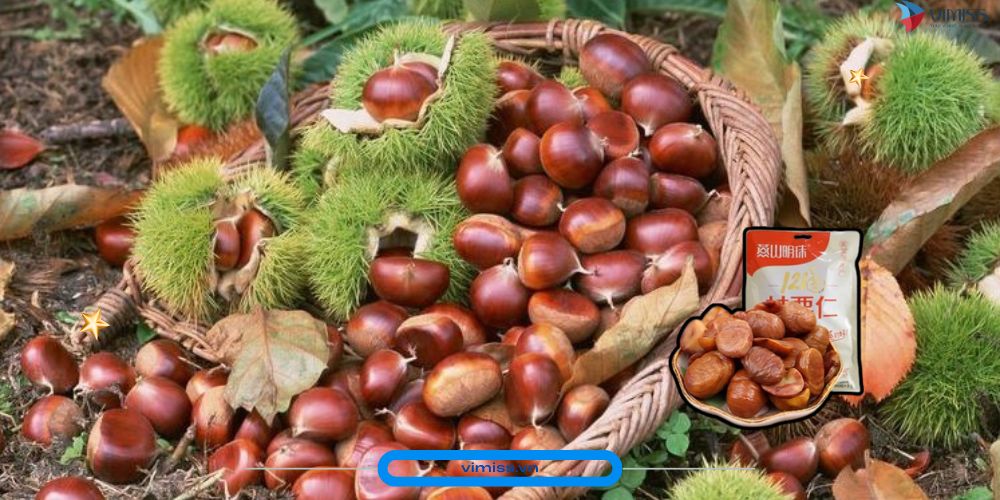 /upload/image/Ha%CC%A3t%20De%CC%89%20Rang%20Ye%CC%82%CC%81n%20So%CC%9Bn%20(Yanshan%20Chestnut).jpg
