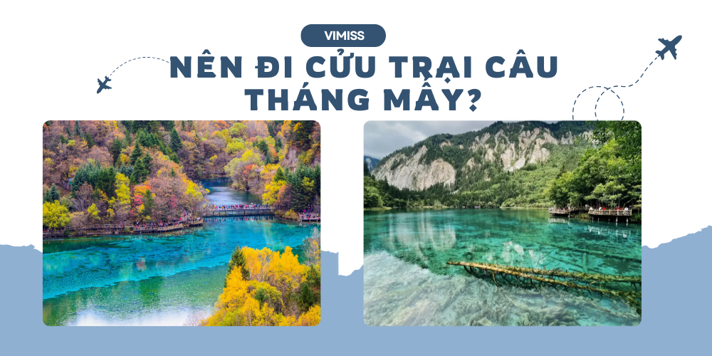 Nên đi Cửu Trại Câu tháng mấy? Đánh giá chi tiết 4 mùa để chọn thời điểm lý tưởng nhất
